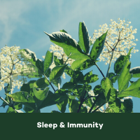 Sleep & immunity (1)